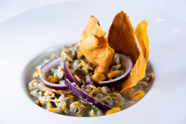 Anzeichen für eine glutenunverträglichkeit bei deinem hund: so findest du sie heraus!